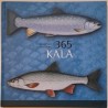 365 KALA - Tamás Kótai, Antal Vida
