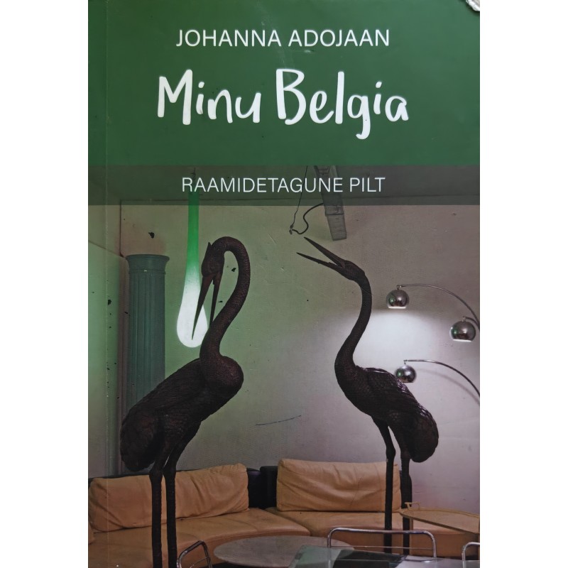 My Belgium. The Picture Behind the Frames - Johanna Adojaan