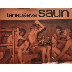 Tänapäeva saun
