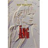 Äng - Fay Weldon