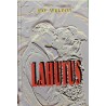 Lahutus - Fay Weldon