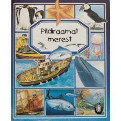 Pildiraamat merest - Emilie...