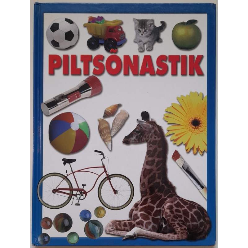 Piltsõnastik 2001