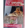 DVD: Sõda Kapsapea Kevadine kärbes - Hardi Volmer & Riho Unt