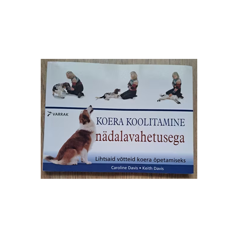 Koera koolitamine nädalavahetusega. Lihtsaid võtteid koera õpetamiseks