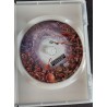 DVD "Sipelgate kiusaja" (The Ant Bully)