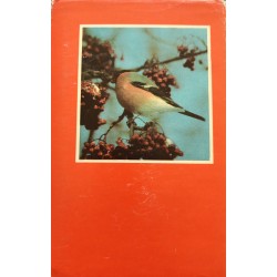 Eesti laululinnud - Lemming Rootsmäe, Heinrich Veromann