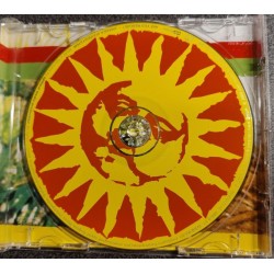 CD Jamaica Soundsystem - Are You Reggae?