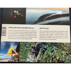 Alari Kivisaar Islandi lummuses ehk paranemise märke pole