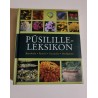Püsililleleksikon