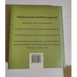 Püsililleleksikon