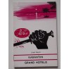 Karantiin Grand Hotelis - Jenö Rejtö