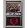 Iluaiandus - E. Veski