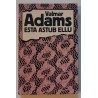 Esta astub ellu - Valmar Adams
