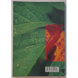 Loodusravi - Aili Paju