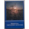 Ühiskonna turvalisuse teenistuses - Annika Lall