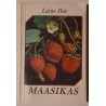 Maasikas - Laine Ilus