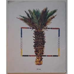 Nigeeria muinasjutte