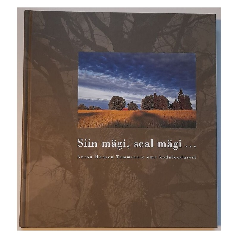 Siin mägi, seal mägi ... - Anton Hansen Tammsaare