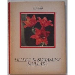 Lillede kasvatamine mullata...