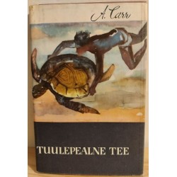 Tuulepealne tee