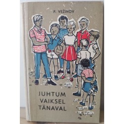 Juhtum vaiksel tänaval
