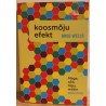 Koosmõju efekt