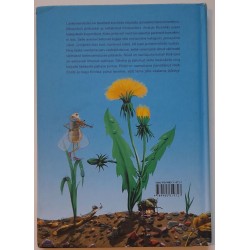 Kaka ja kevad - Andrus Kivirähk
