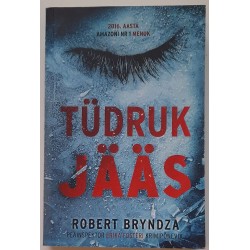 Tüdruk jääs - Robert Bryndza