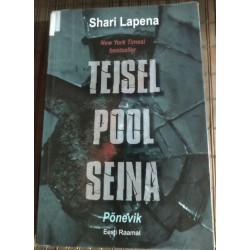 Teisel pool seina