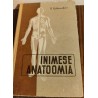 Inimese anatoomia 1960 a