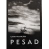 Pesad - Ilmar Vananurm