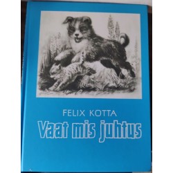 Vaat mis juhtus