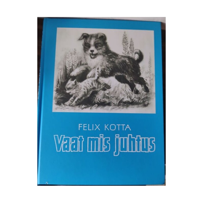 Vaat mis juhtus