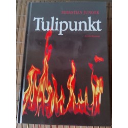 Tulipunkt