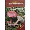 Maalehe väike seeneraamat
