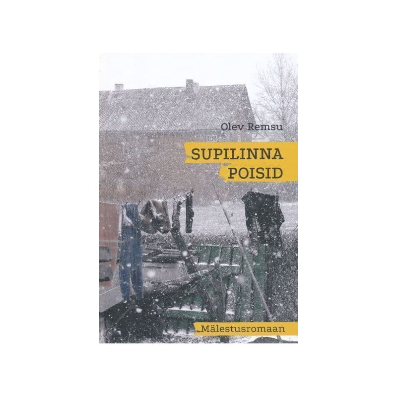 Supilinna poisid. Mälestusromaan