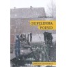 Supilinna poisid. Mälestusromaan