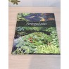 Veekogud aias. Esmamõtetest teostuseni