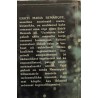 Unistuste tuba. Kunstnikuromaan - Erich Maria Remarque